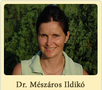 Dr. Mészáros Ildikó - Fogszakorvos